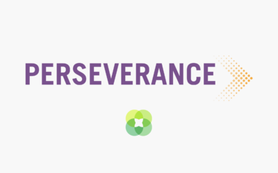 Perseverance (1)